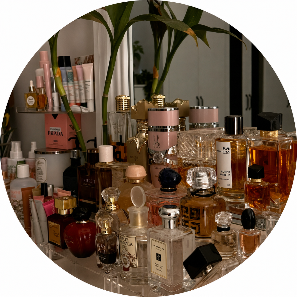 Fragrance